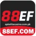 88EF Game Logo