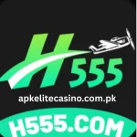 H555 Game Logo