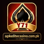 Y71 Game Logo