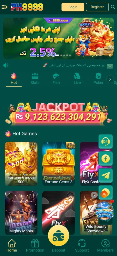 PH9999 Game Interface